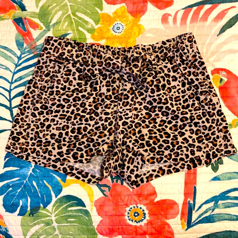 Ladies Cheetah belted shorts
